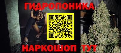 сатива Краснокаменск