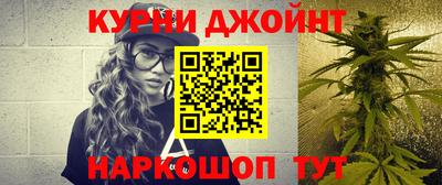 сатива Краснокаменск