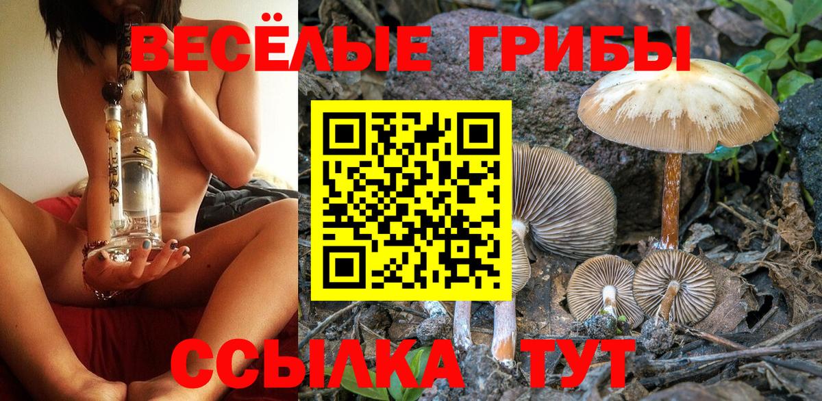 Галлюциногенные грибы GOLDEN TEACHER  Вход с VPN  Кизляр  магазин продажи   Галлюциногенные грибы мухоморы 