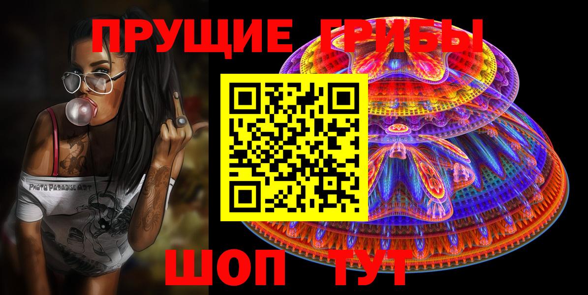 Псилоцибиновые грибы Psilocybine cubensis Кизляр