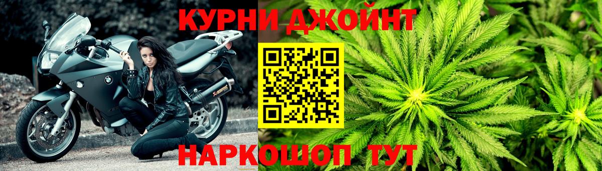 Бошки марихуана сатива Кизляр